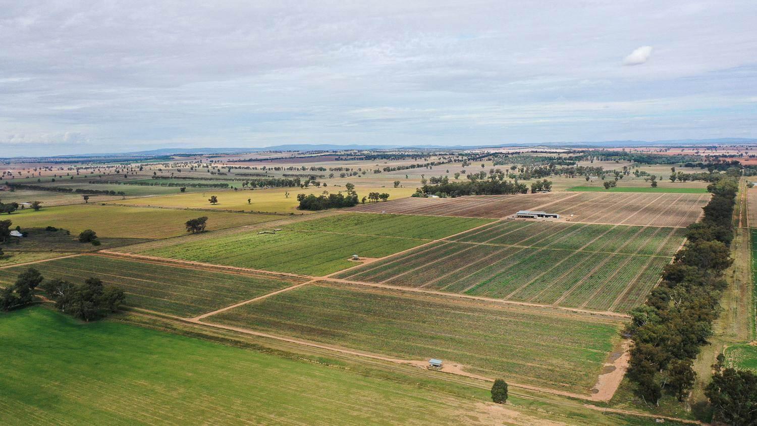 Farms For Sale NSW