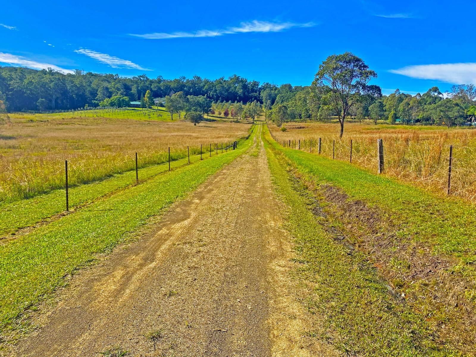 Farms For Sale NSW
