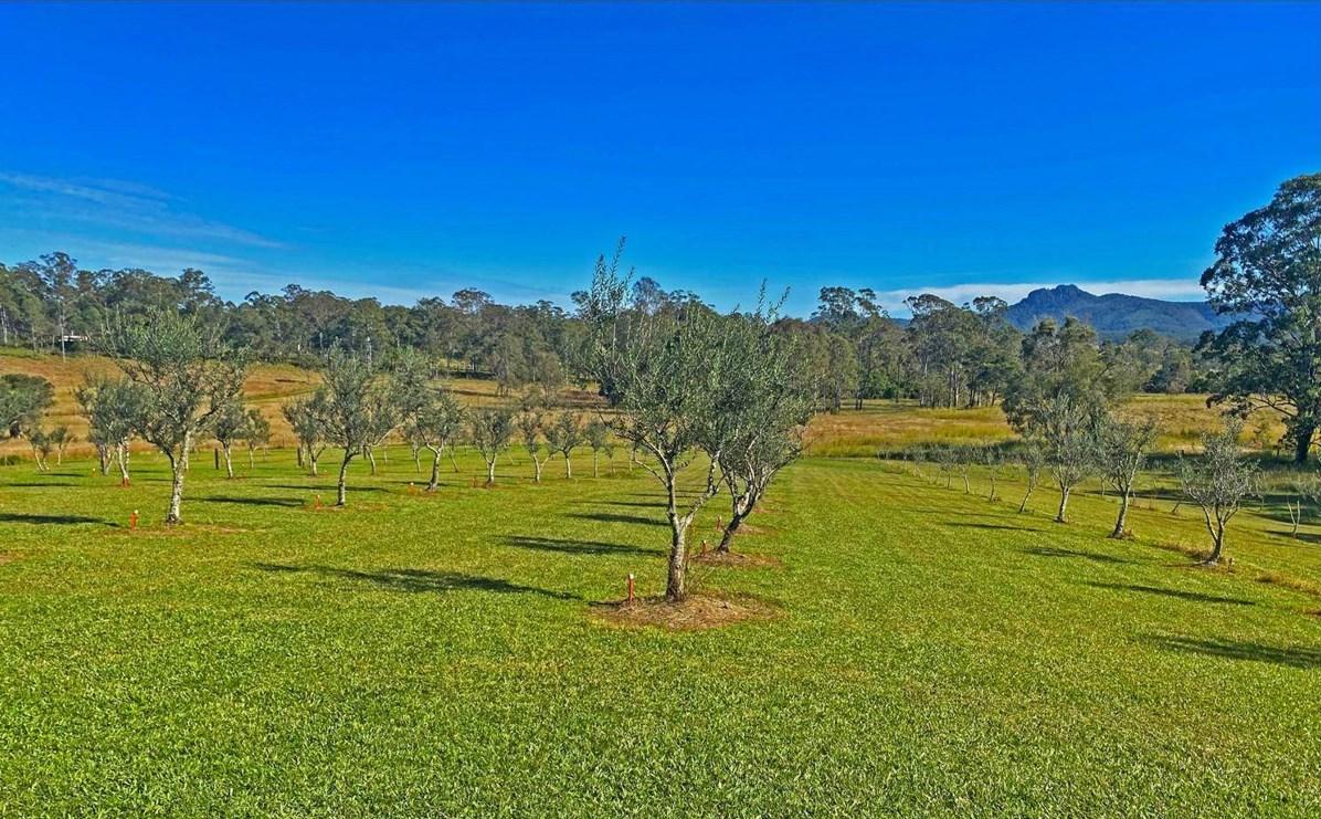 Farms For Sale NSW