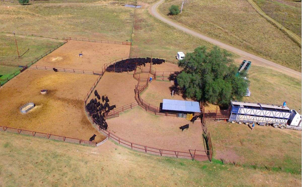 Farms For Sale NSW