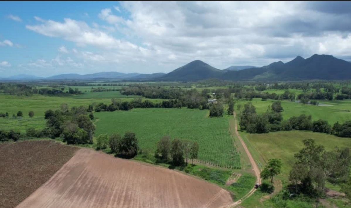 Farms For Sale QLD