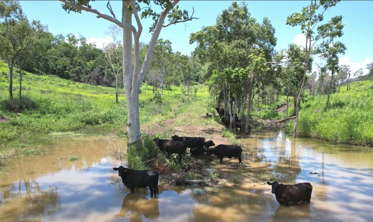 Farms For Sale QLD