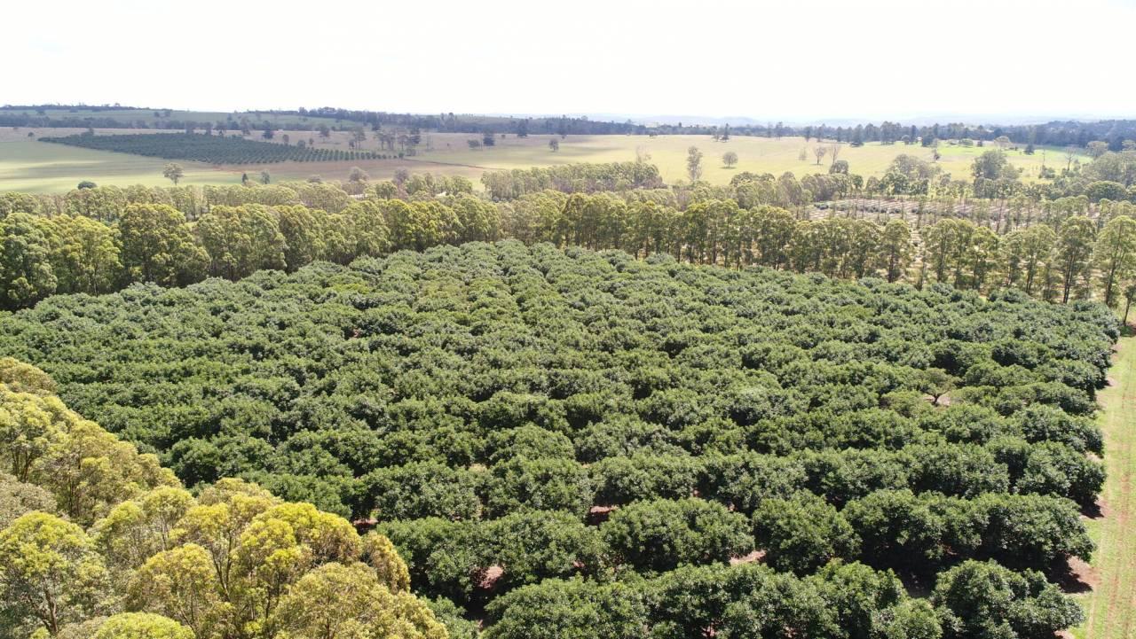 Farms For Sale QLD