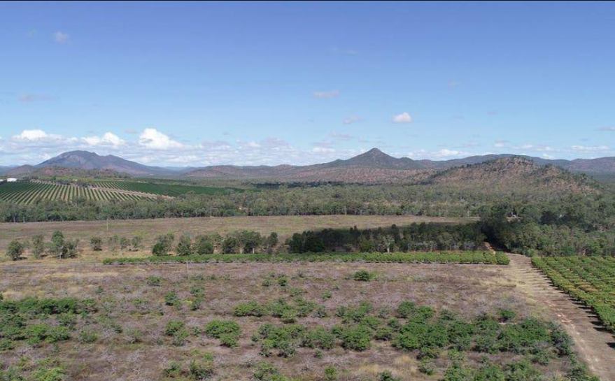 Farms For Sale QLD