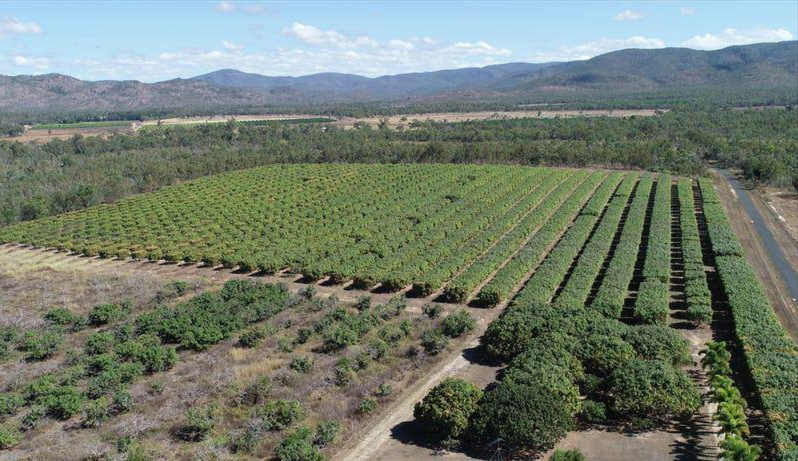 Farms For Sale QLD