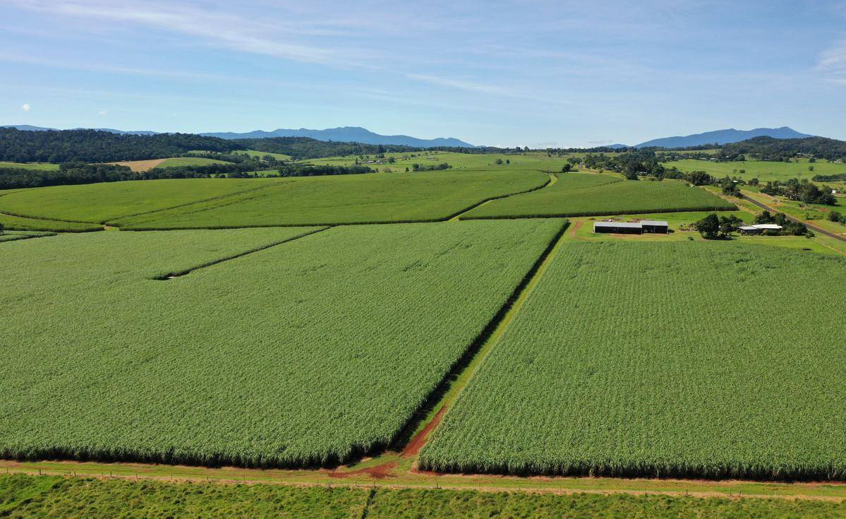 farms for sale QLD