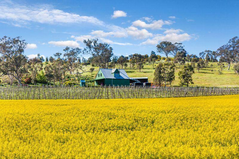 Farms For Sale Shepparton