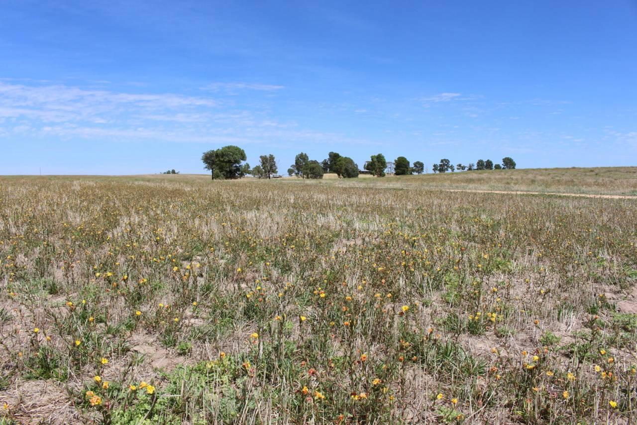 Farms For Sale South Australia