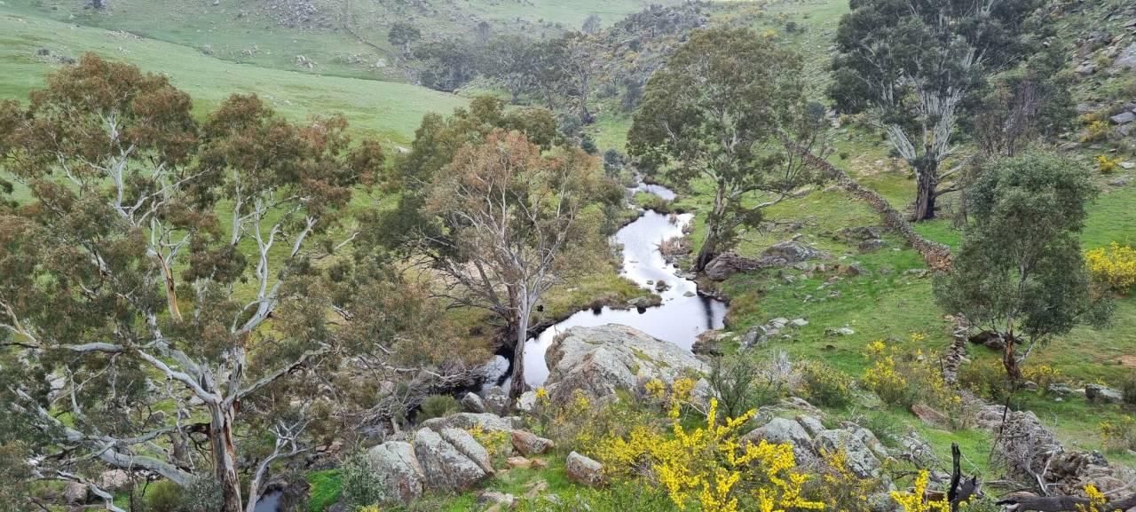 Farms For Sale South Australia