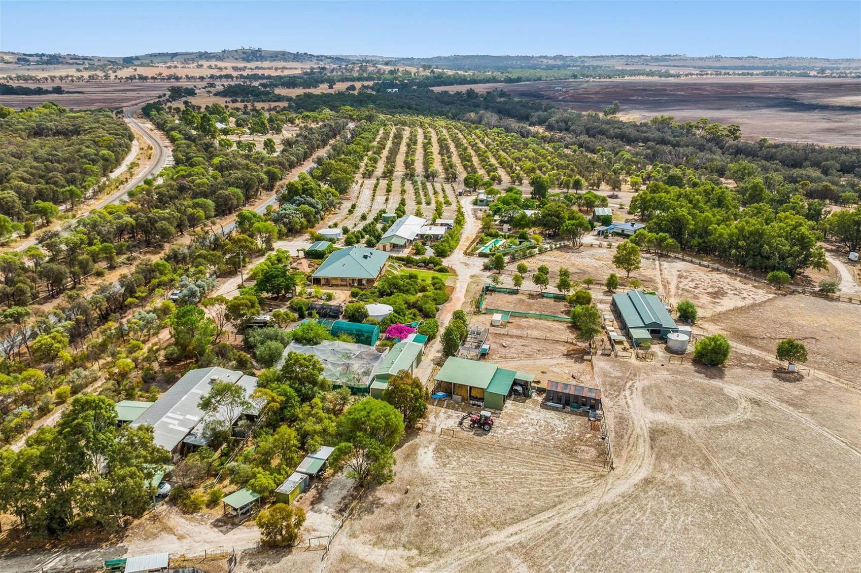 Farms For Sale South West WA: 5895 Great Southern Highway, York