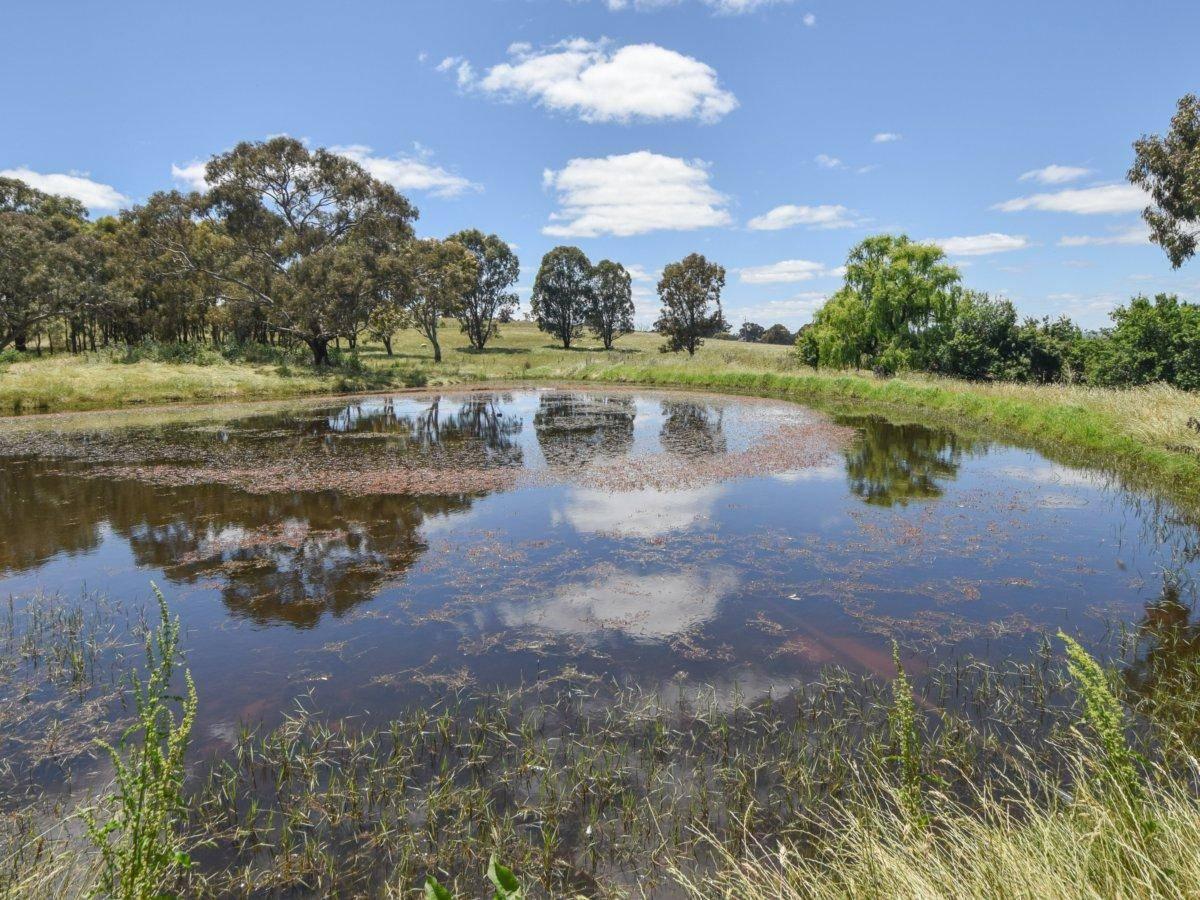 Farms For Sale Temora