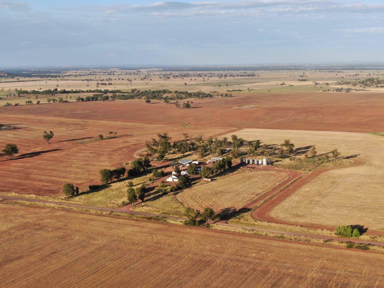 Farms For Sale Temora