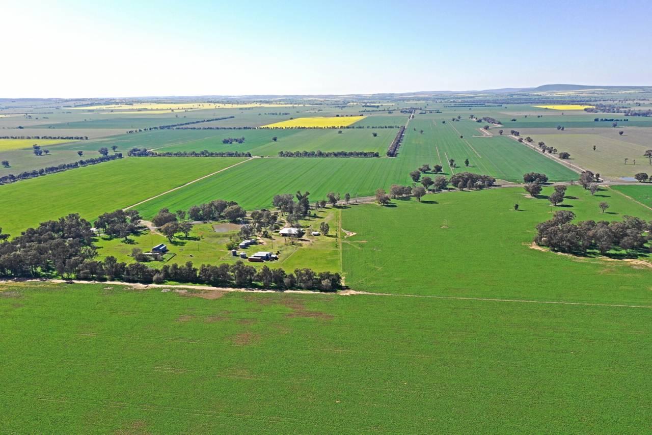 Farms For Sale Temora