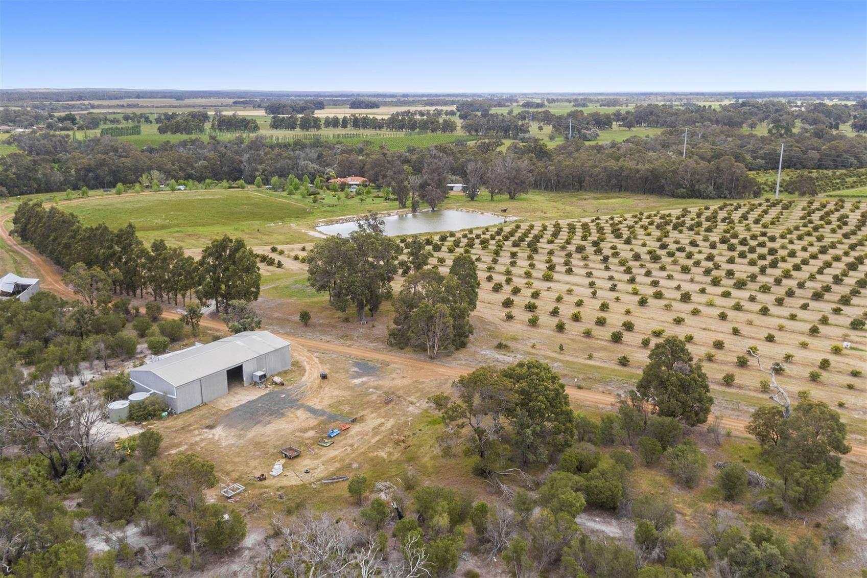 Record Price Growth For Farms For Sale WA