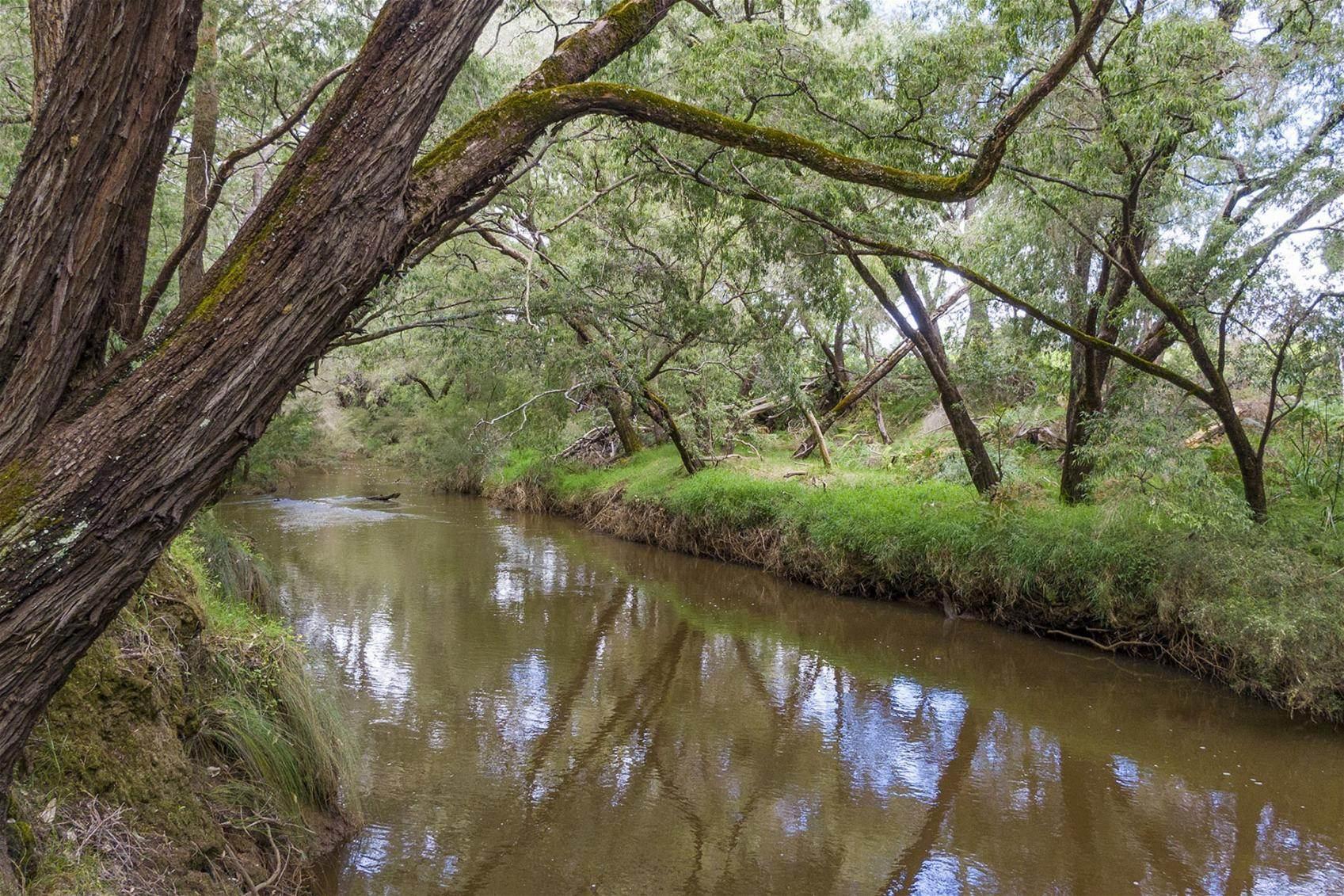 Farms For Sale WA 