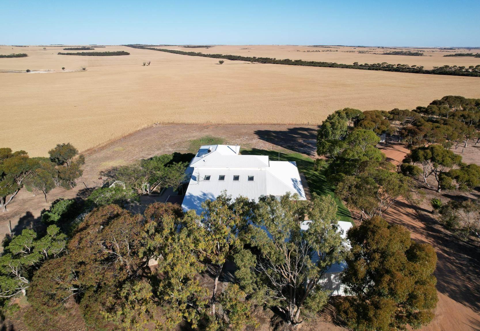 Farms For Sale WA 