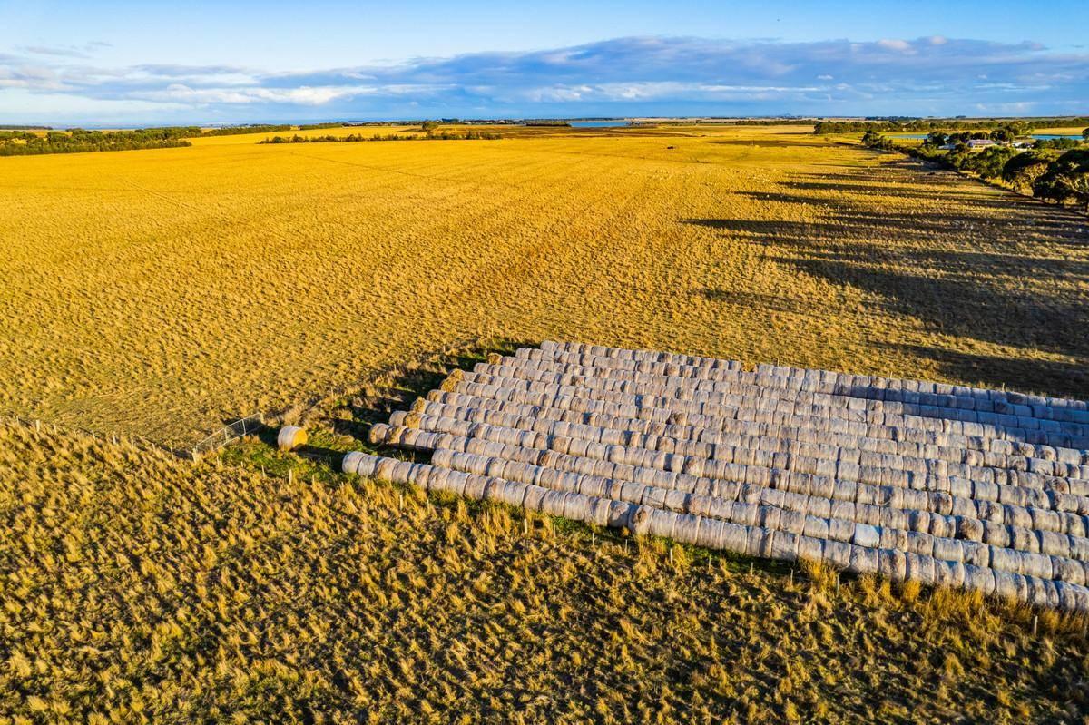 Farms For Sale Western Victoria