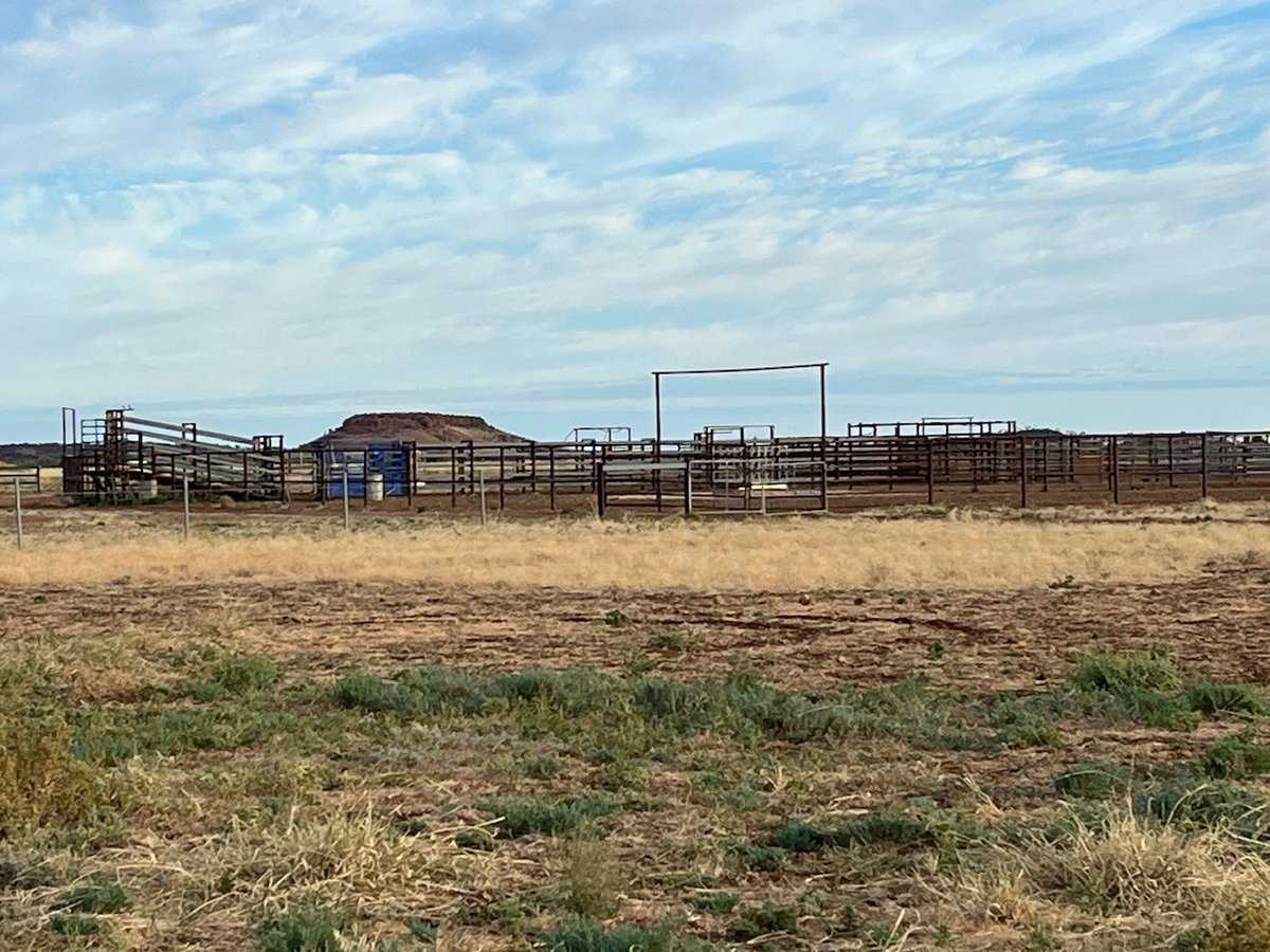 cattle property for sale QLD