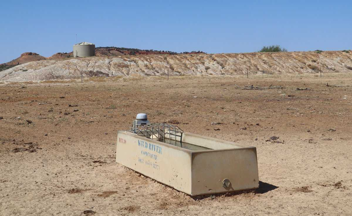 cattle property for sale QLD