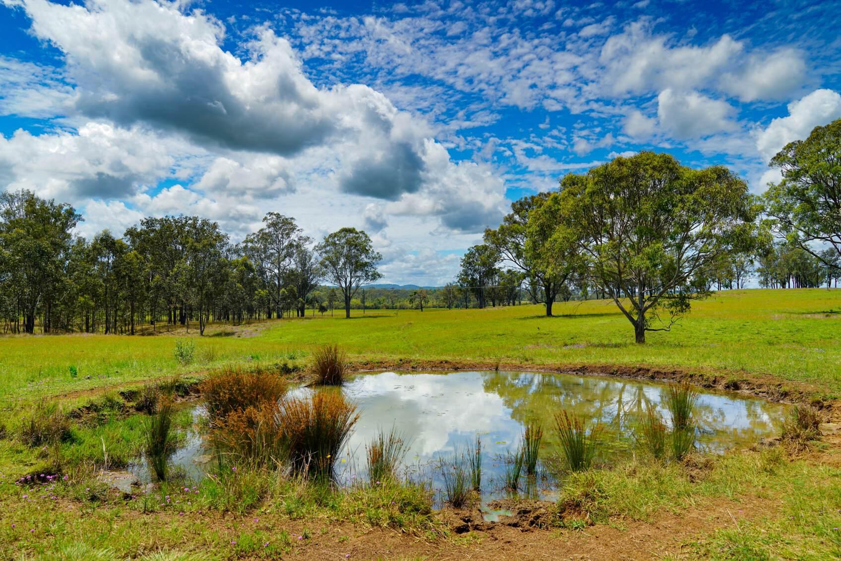 Cattle Station For Sale QLD