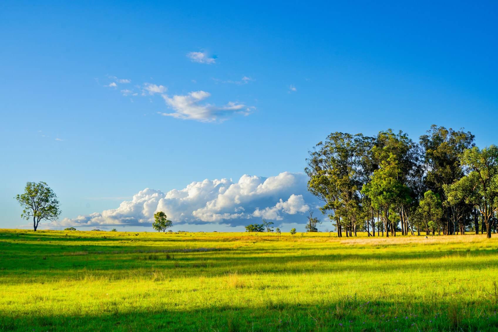 Cattle Station For Sale QLD