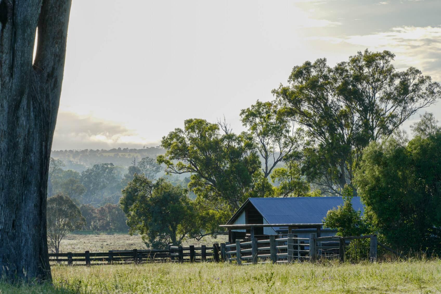 Cattle Station For Sale QLD