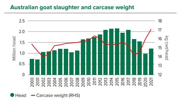 goat sales australia