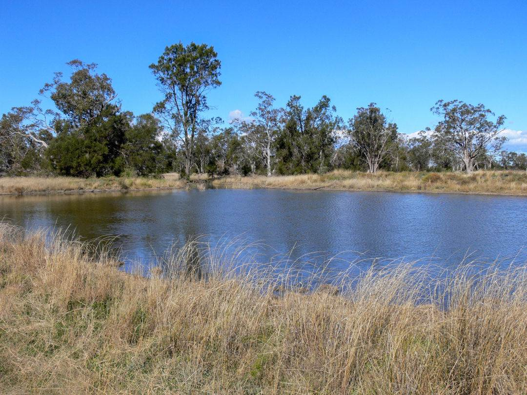 rural property for sale NSW