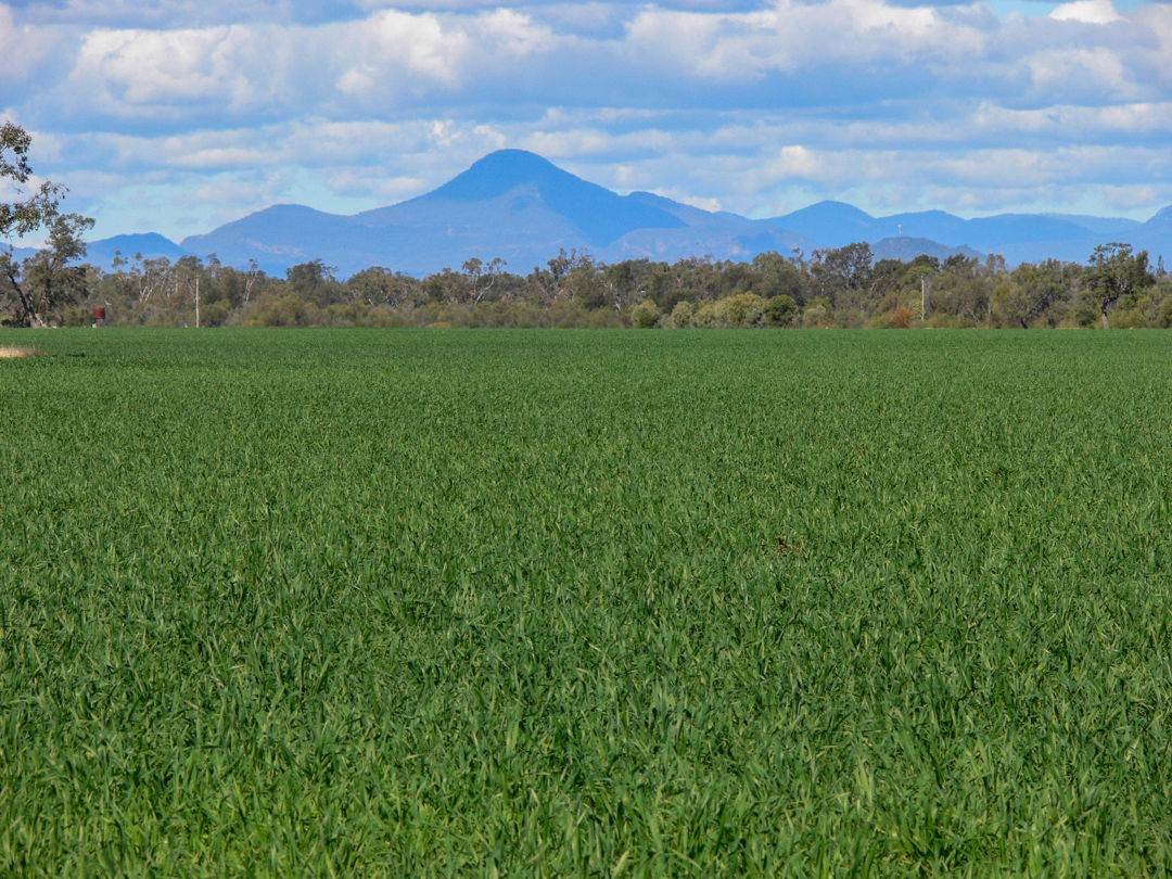 rural property for sale NSW
