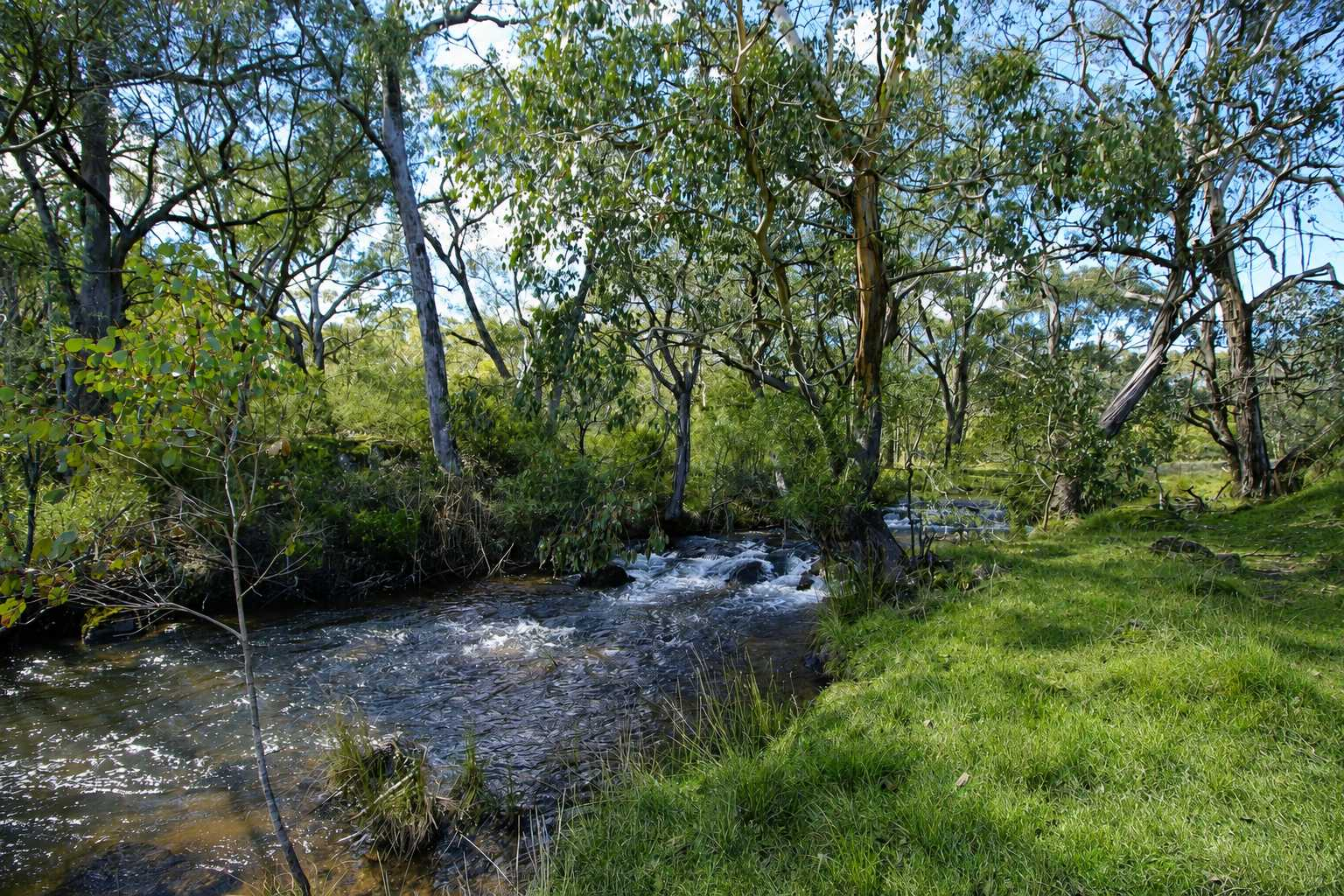 Rural Properties For Sale NSW