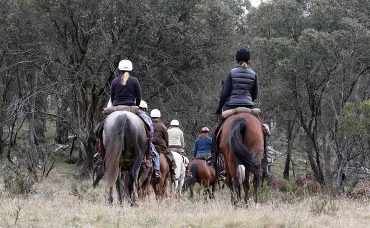 Rural Properties For Sale NSW