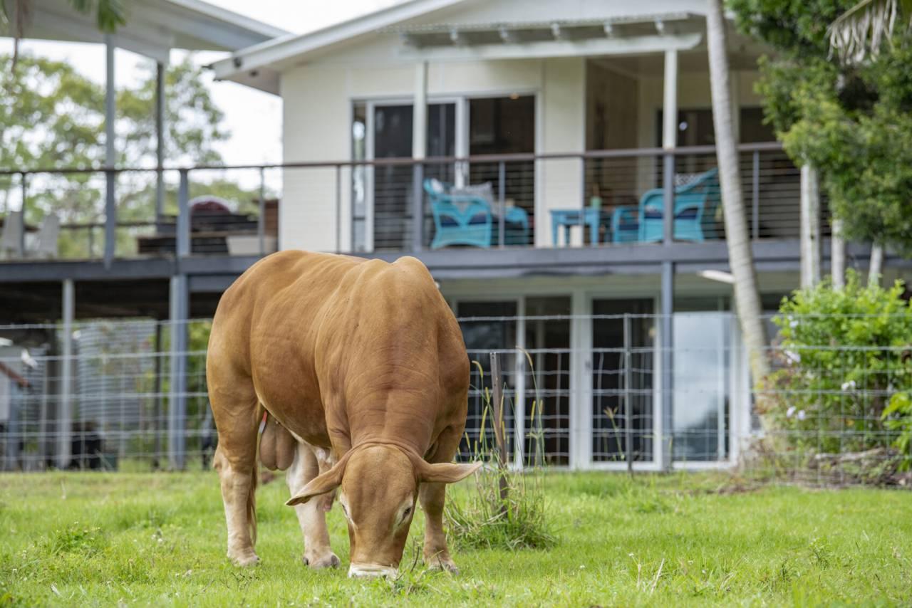 Hobby Farms For Sale QLD