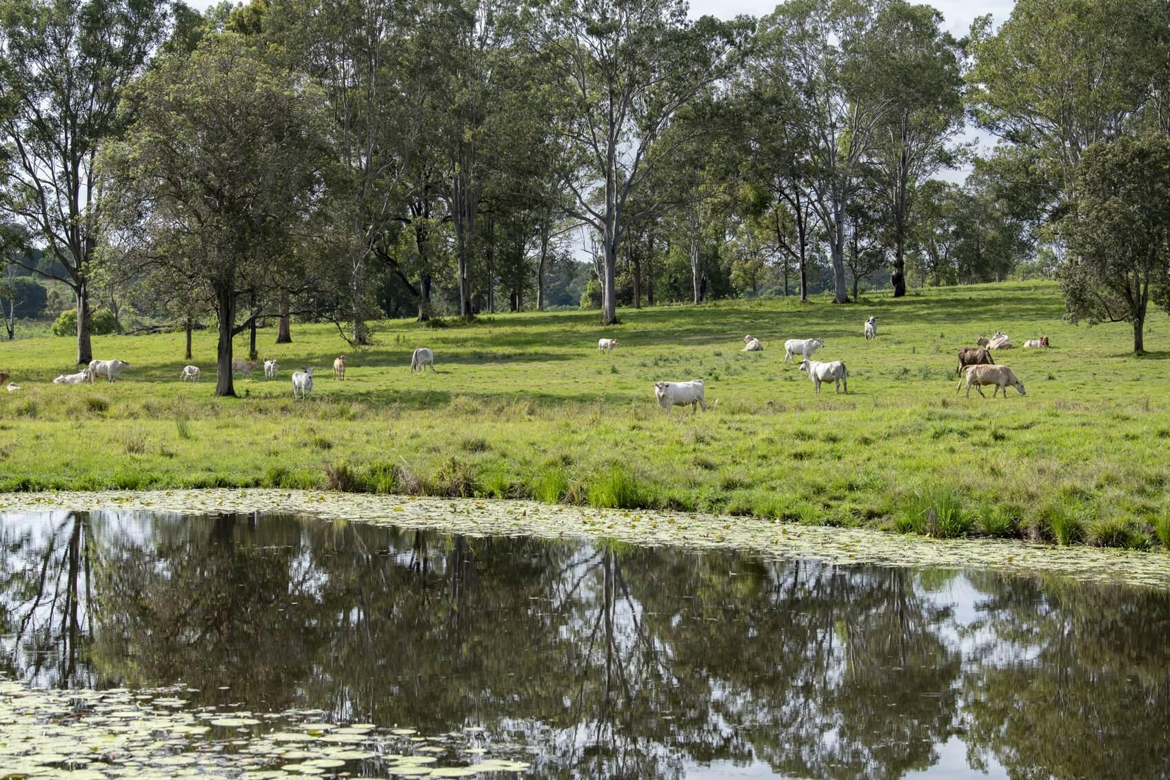 Hobby Farms For Sale QLD