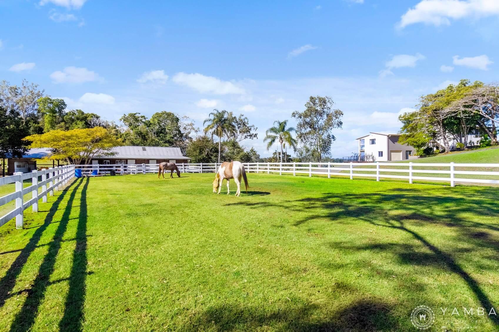 Hot Spot Hobby Farms For Sale QLD
