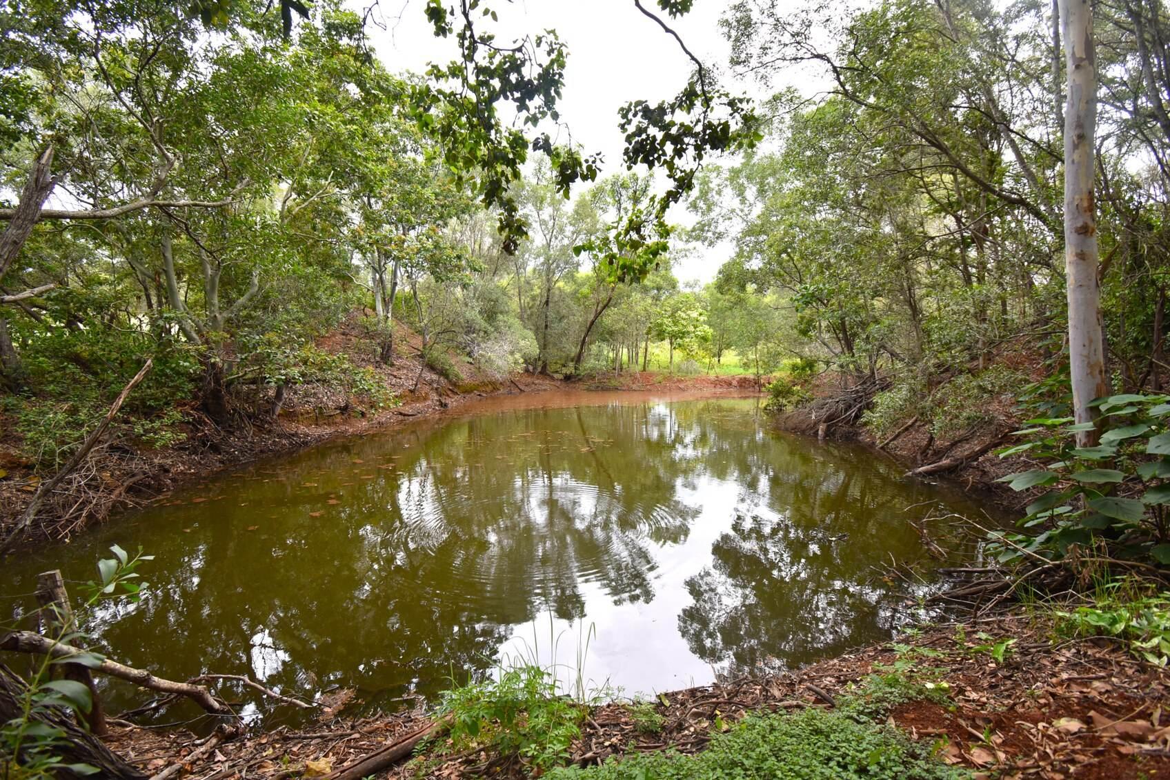 Hot Spot Hobby Farms For Sale QLD