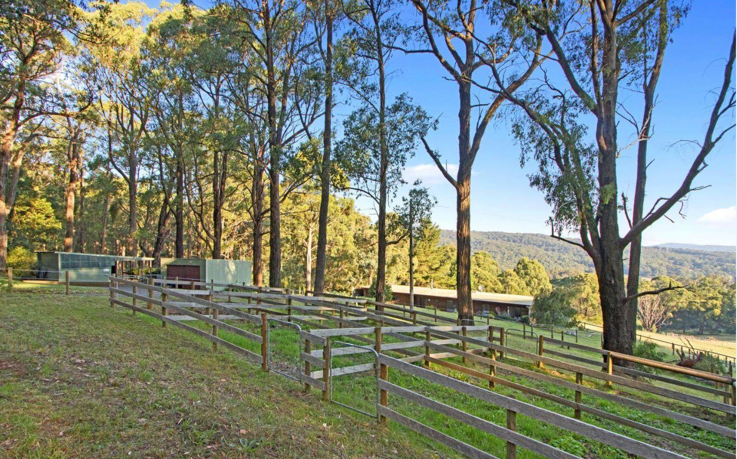 Homes For Sale Yarra Valley VIC