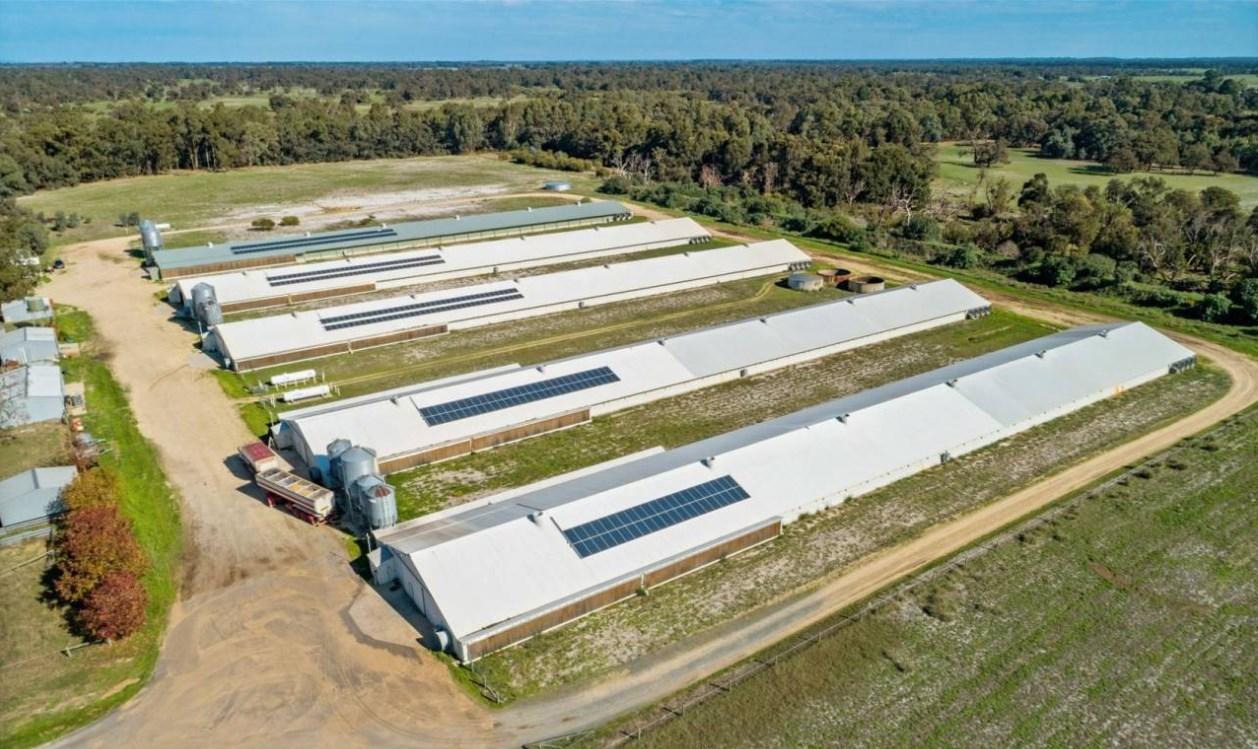 One of WA’s Finest Poultry Farms For Sale