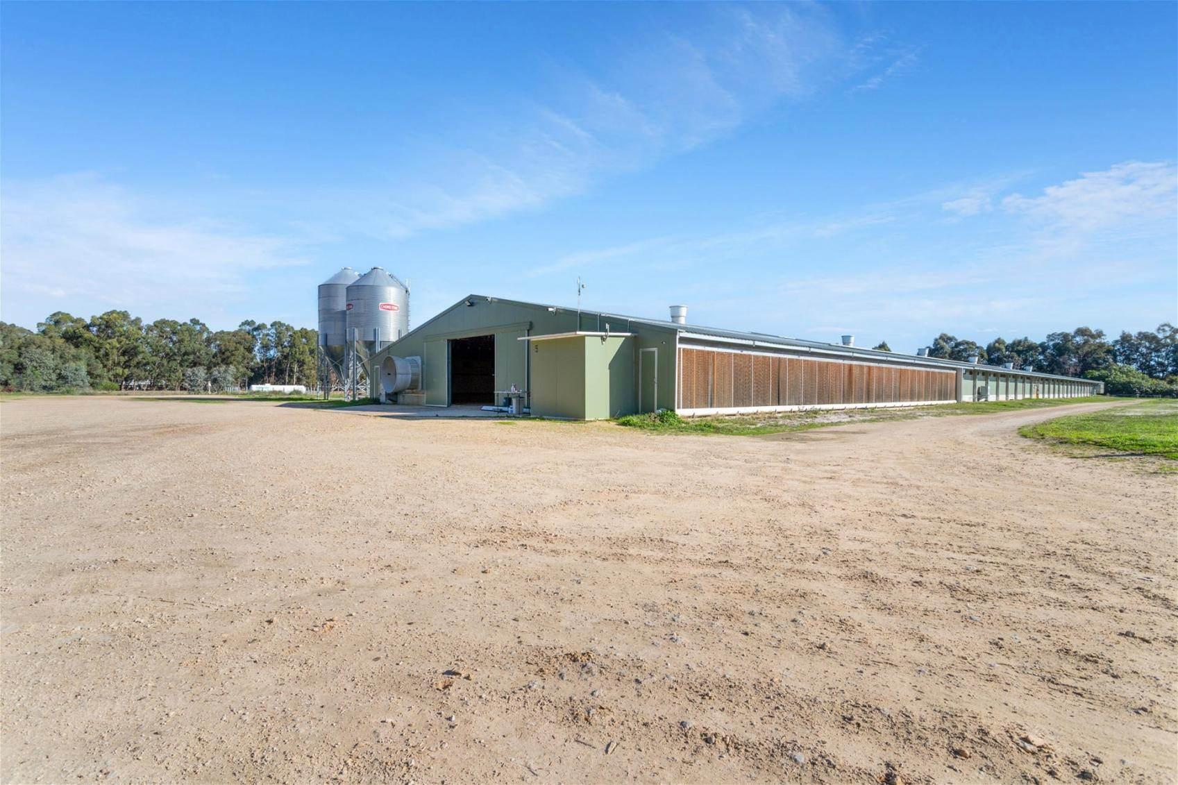 Poultry Farm For Sale WA