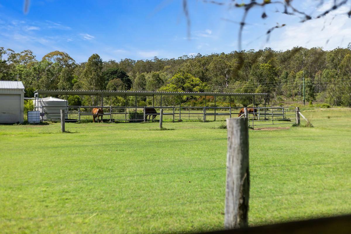 Best Horse Properties For Sale Australia