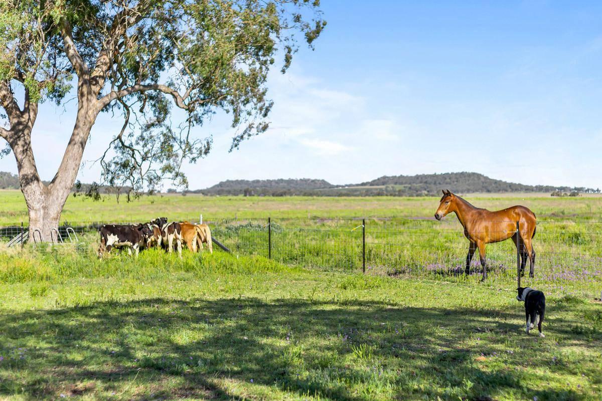 Best Horse Properties For Sale Australia