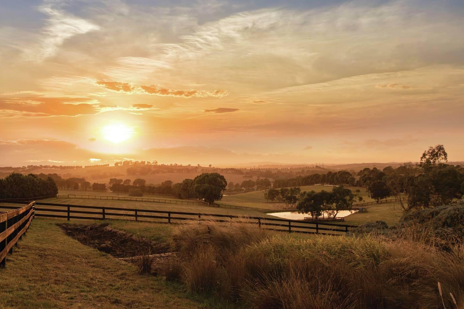 Horse Properties For Sale Australia