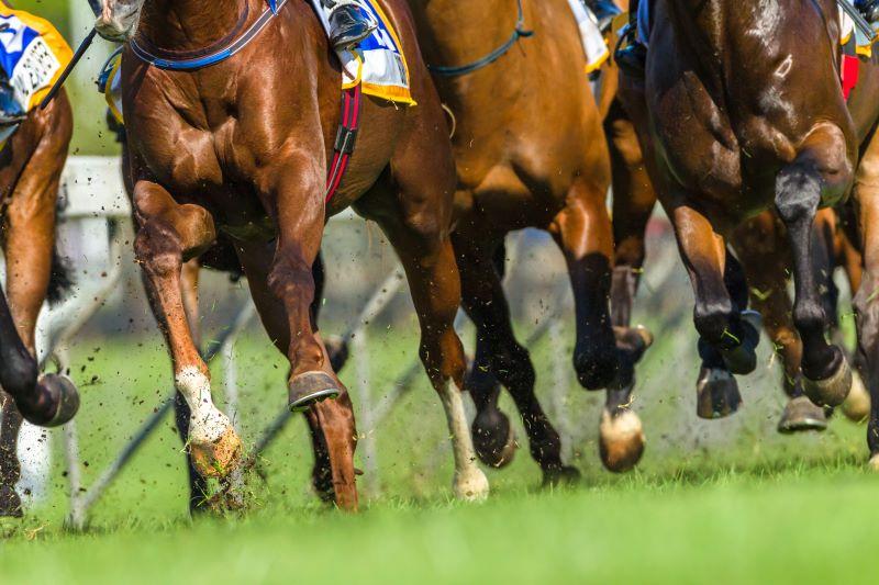 Horse Properties For Sale Australia