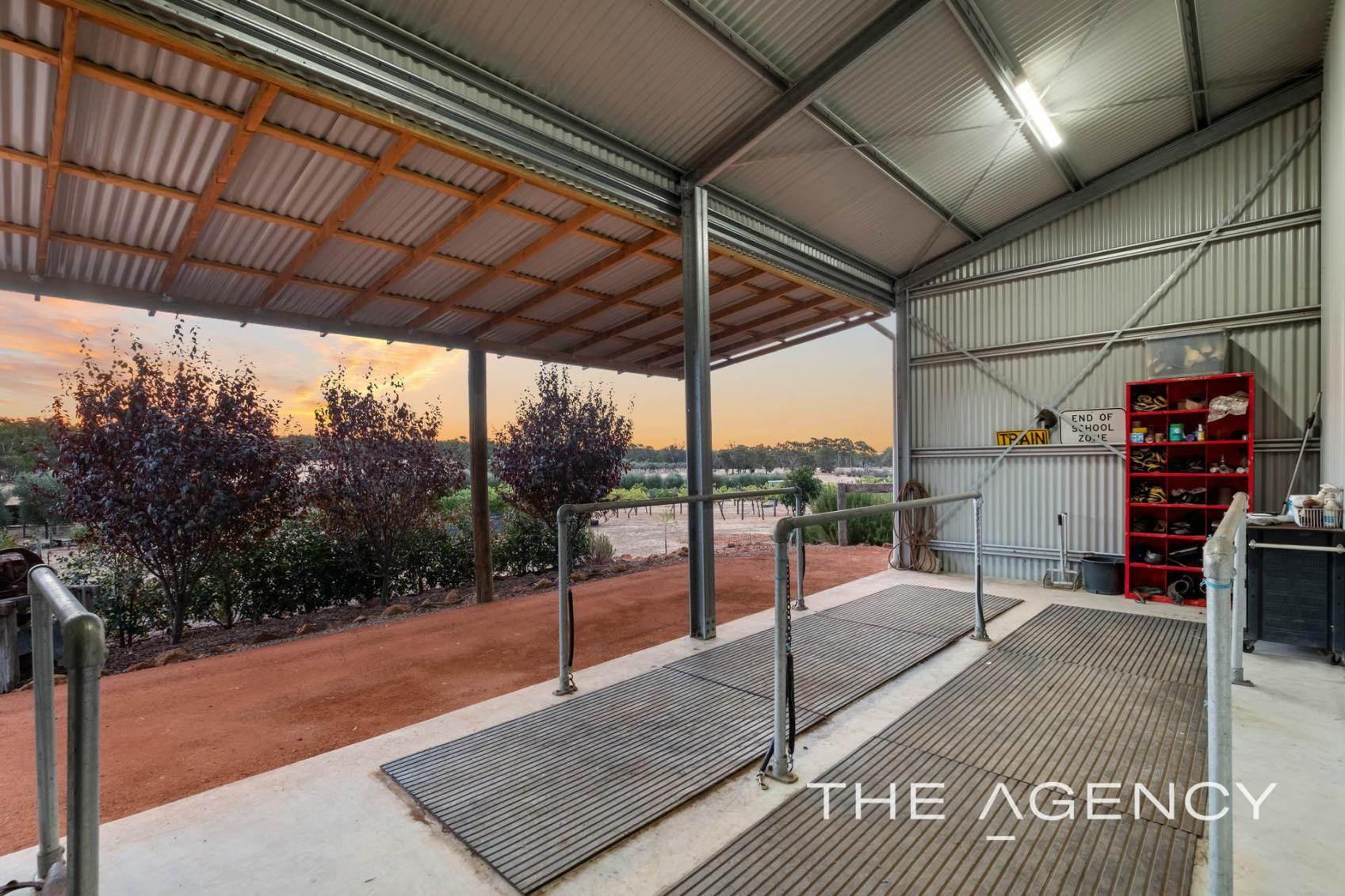 World Class Horse Properties For Sale Australia Exclusive Buyers’ Guide