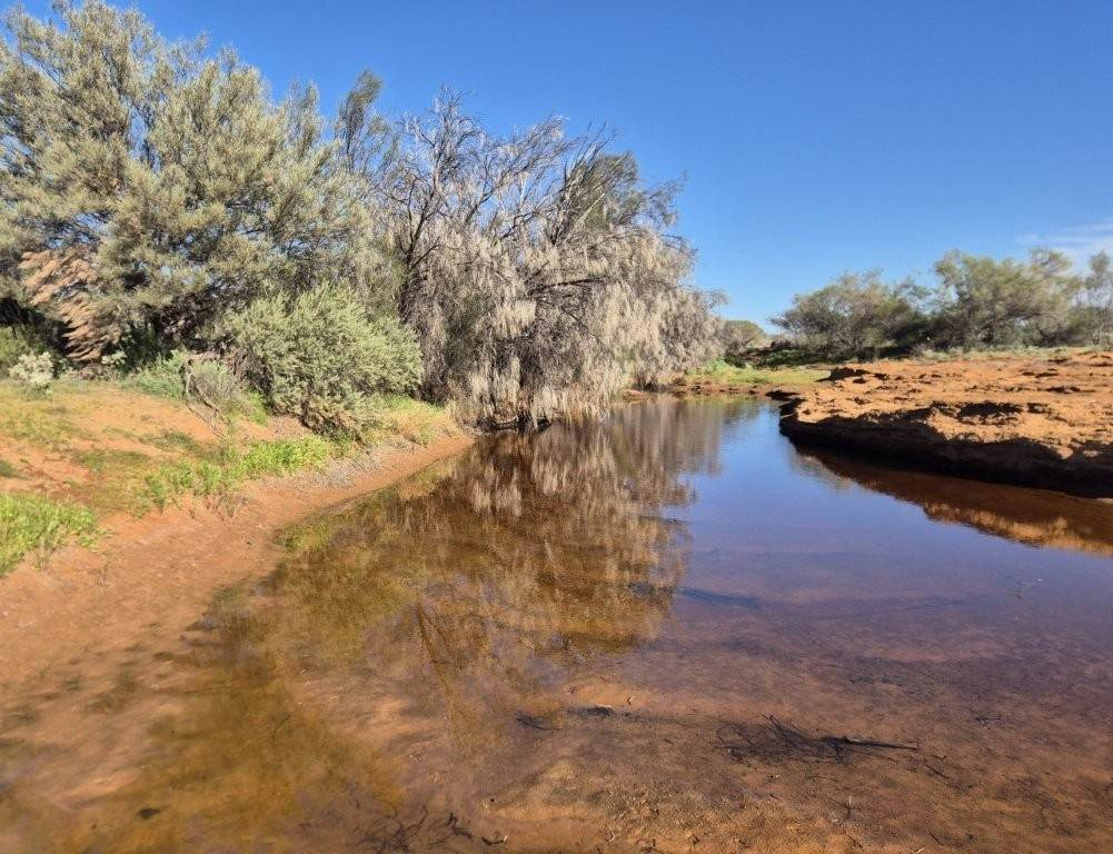 cattle property for sale WA