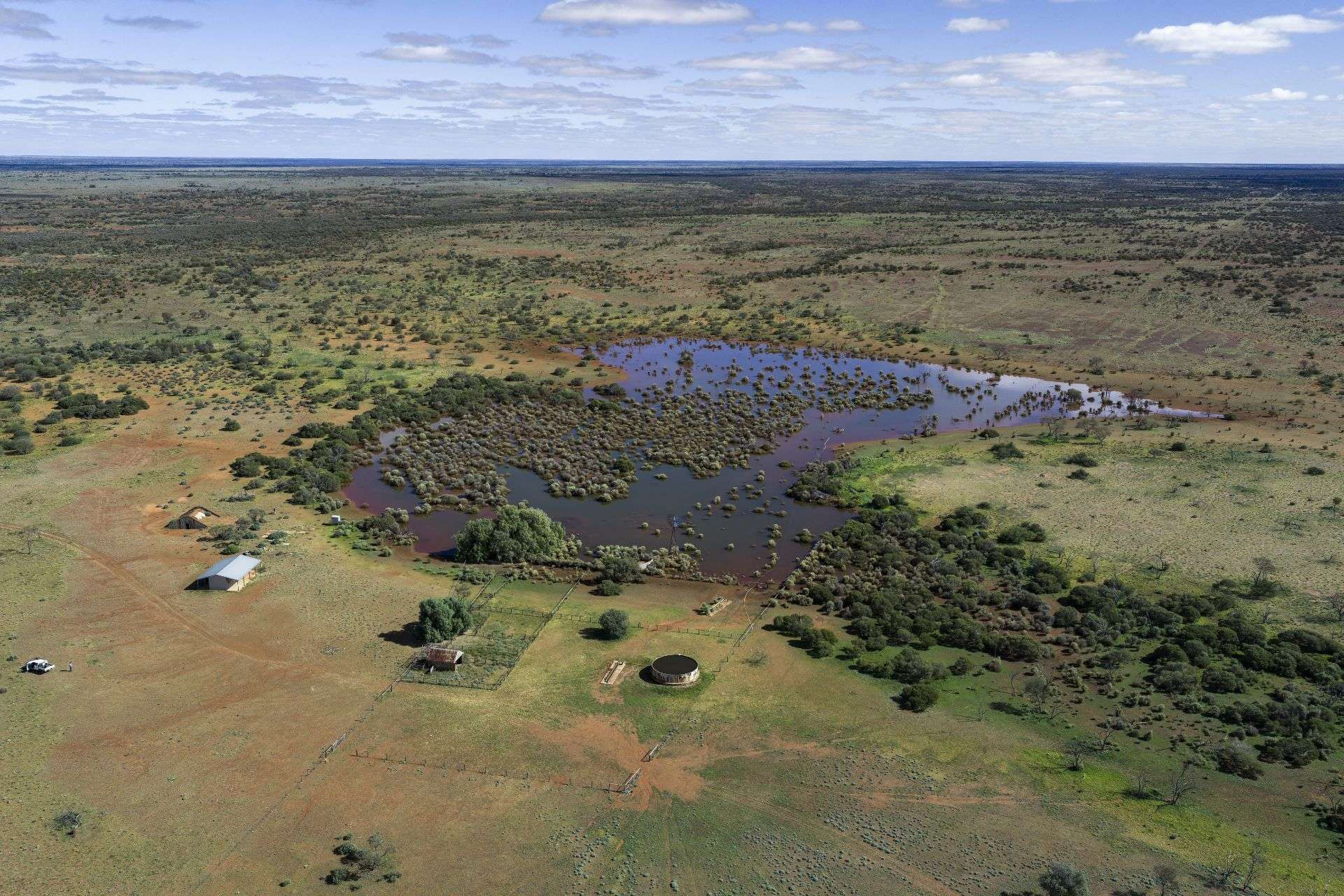 sheep station for sale SA