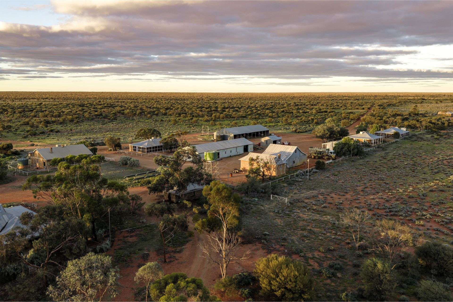 sheep station for sale SA
