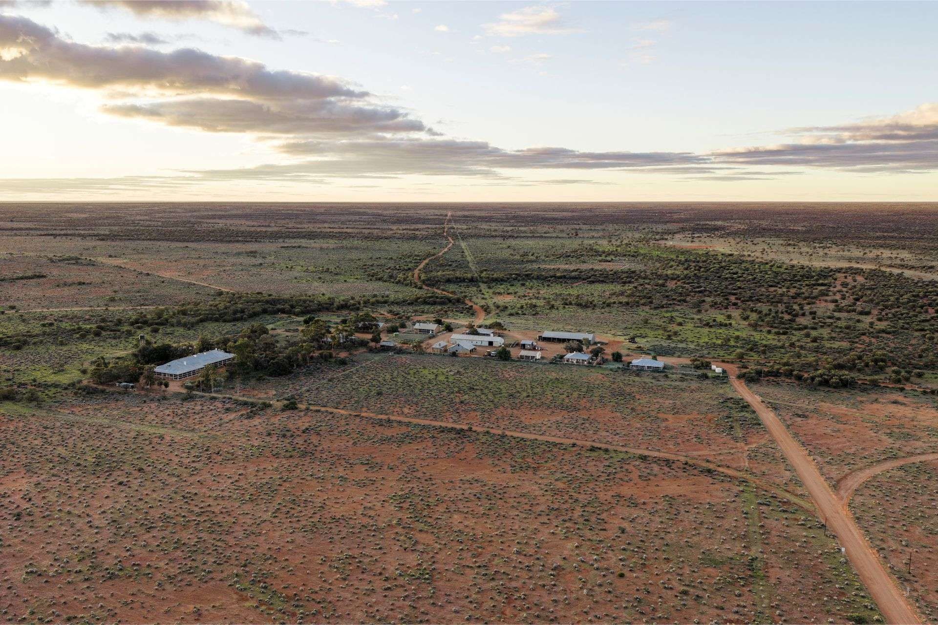 sheep station for sale SA