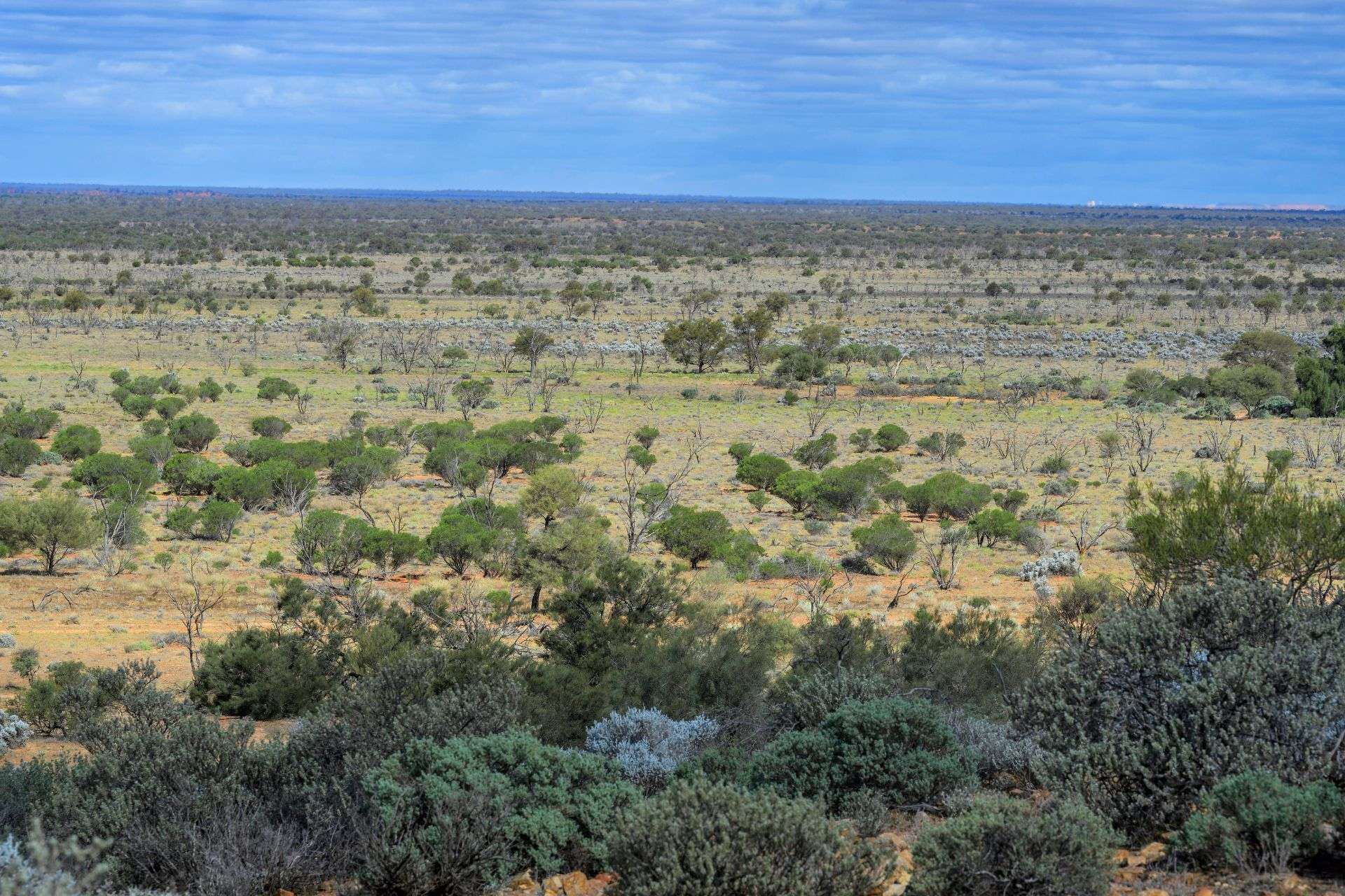 sheep station for sale SA