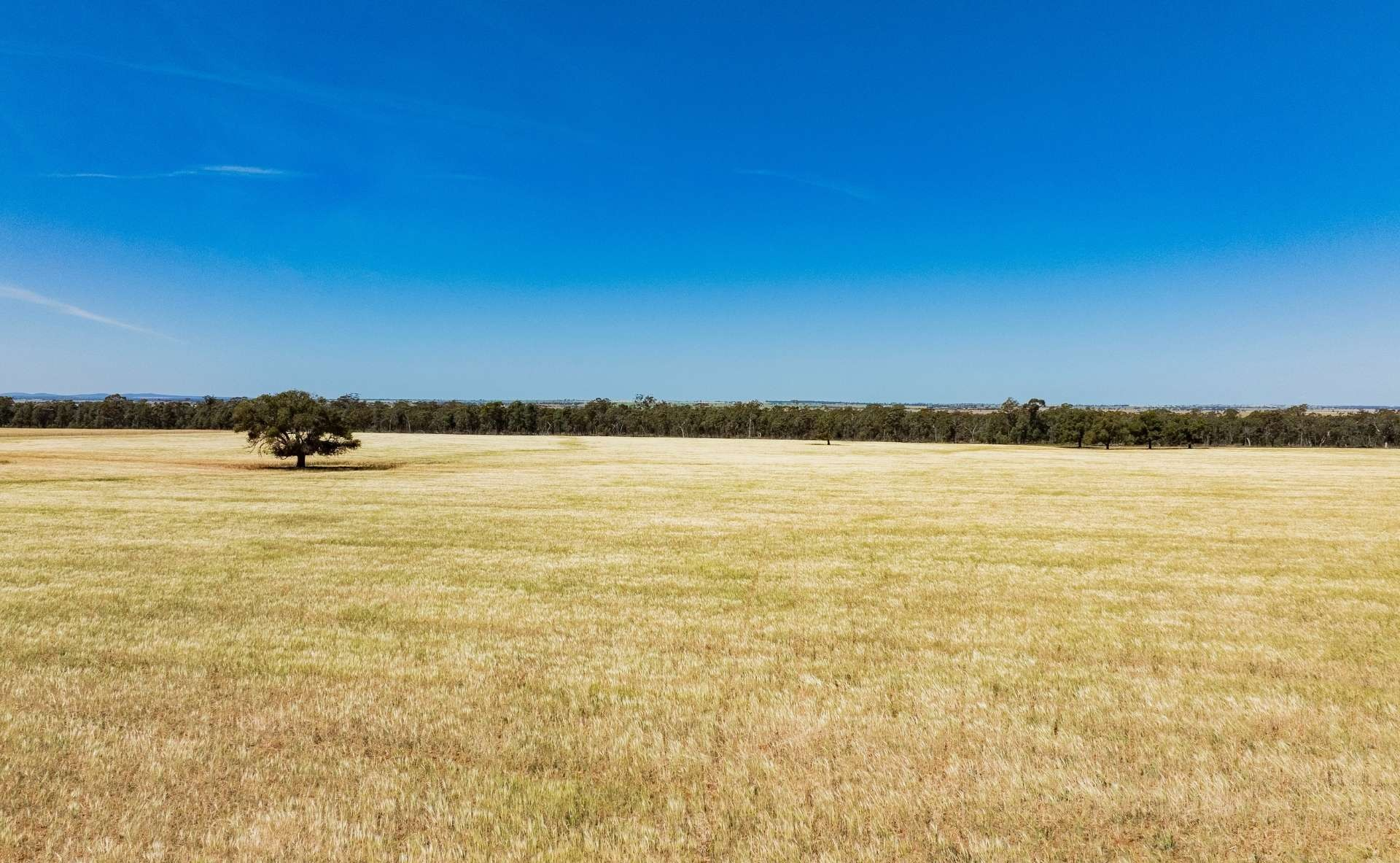 farm for sale NSW
