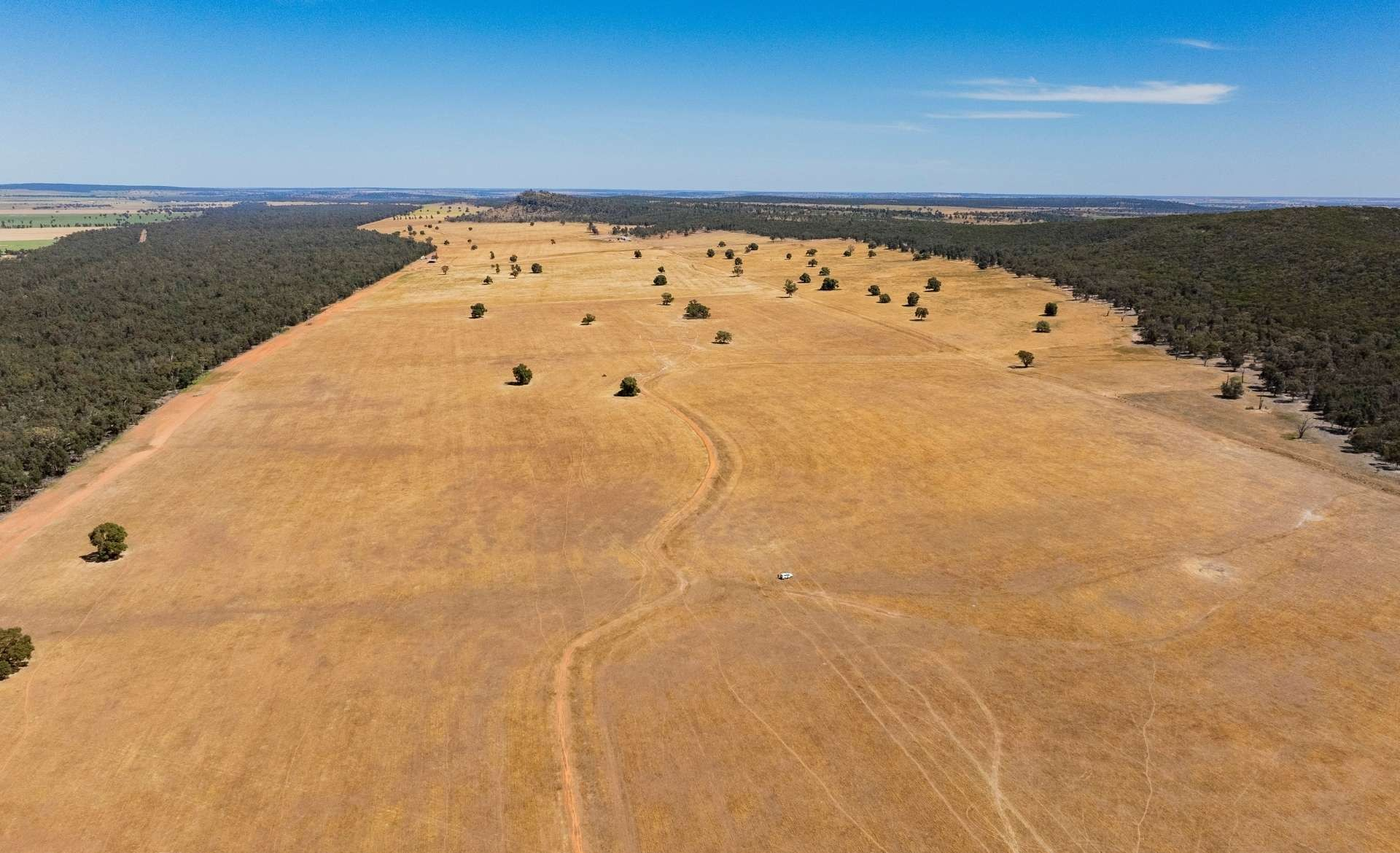 farm for sale NSW